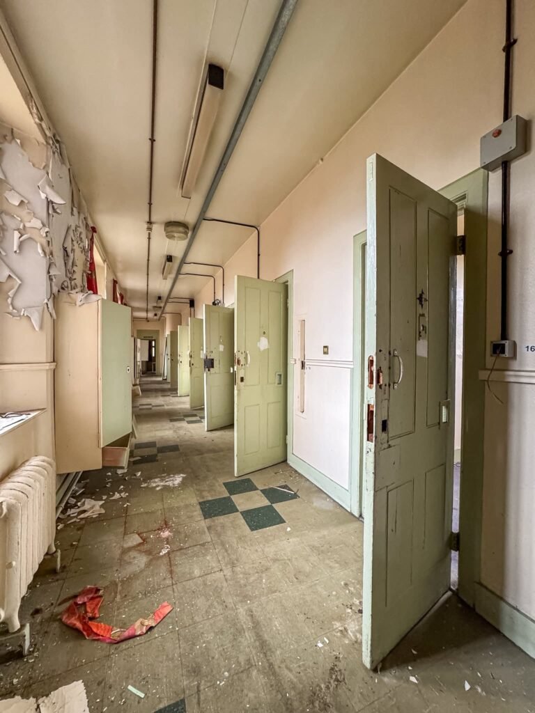 Internal soft strip out services